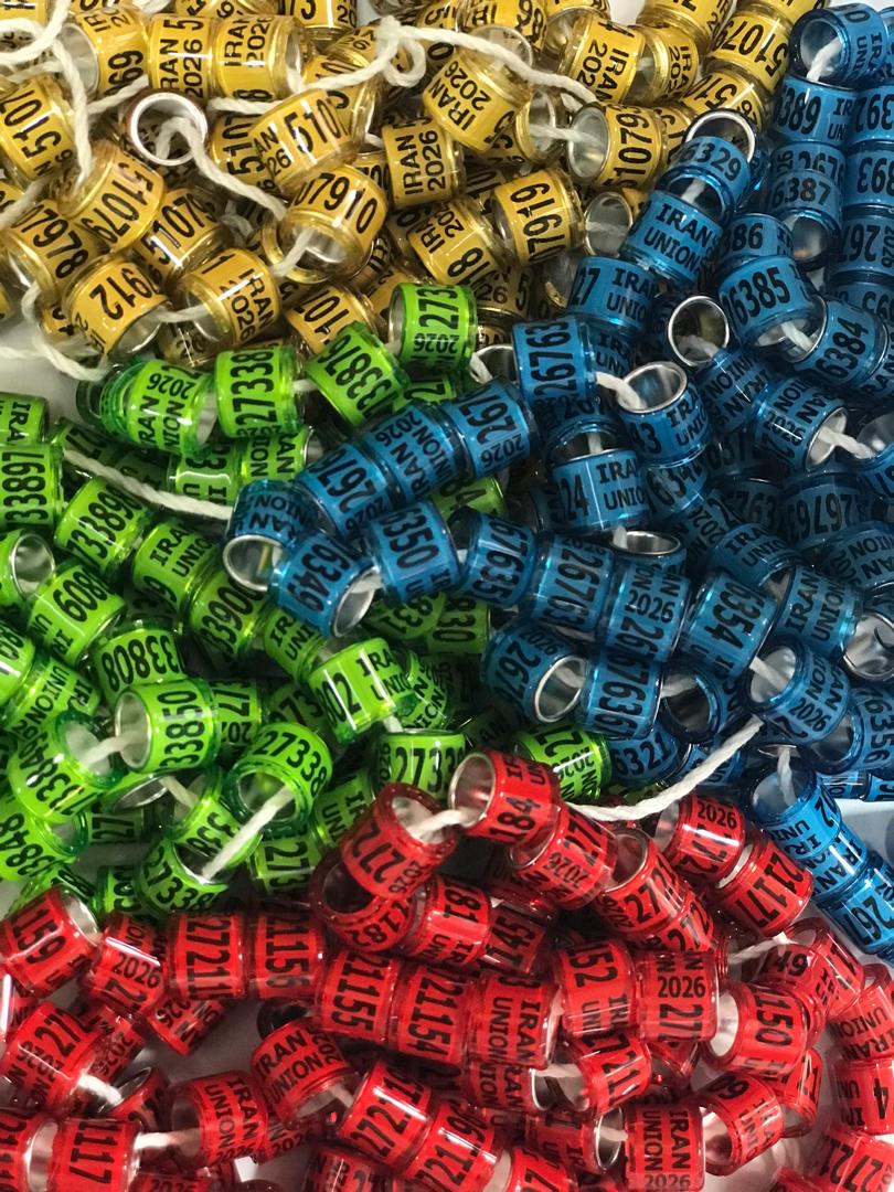 پلاک اصلی کبوتر 2026